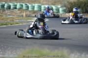 DSC (1174)